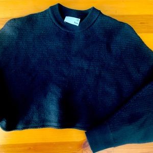 Aritzia Wilfred Free Lolan Cropped Sweater Sz. XXS